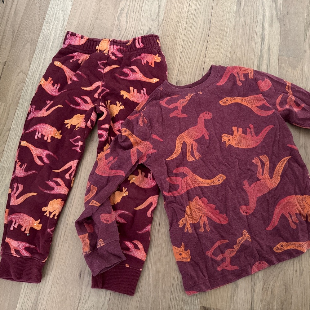 Cat & Jack Dino Set (4/5)
